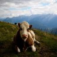 Wurstwasser_GER